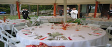 Wedding Table Decorations