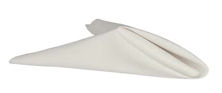 White Cloth Napkins